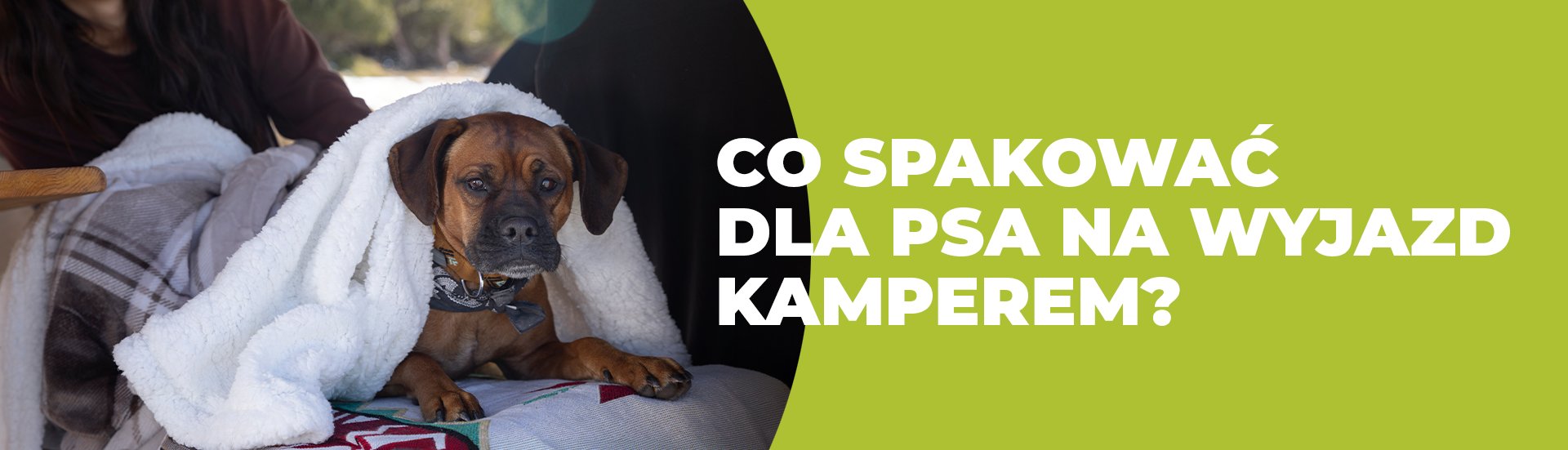 kampery na wynajem Lublin